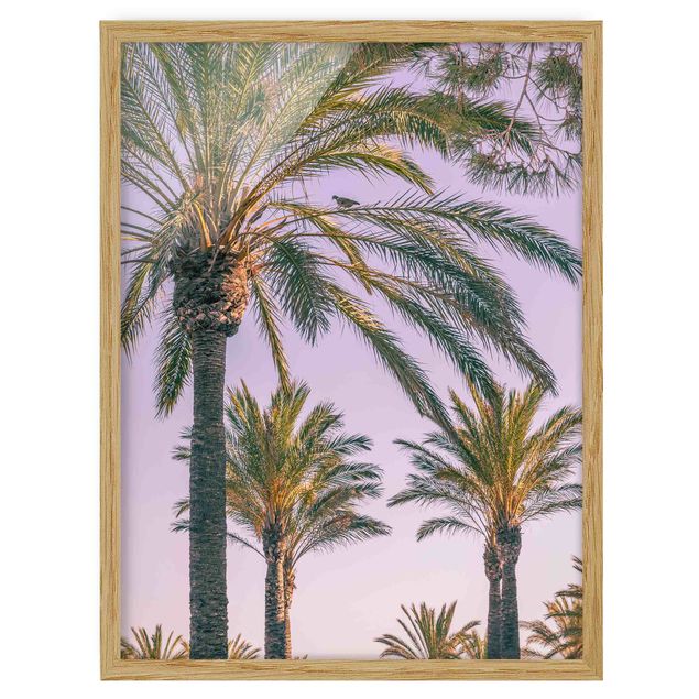 tableaux floraux Palmiers au coucher du soleil