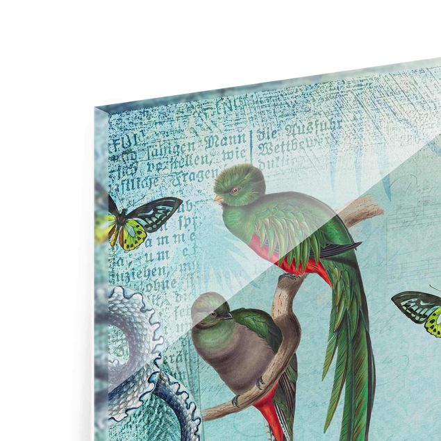 Tableaux de Andrea Haase Collage de style colonial - Singes et oiseaux de paradis