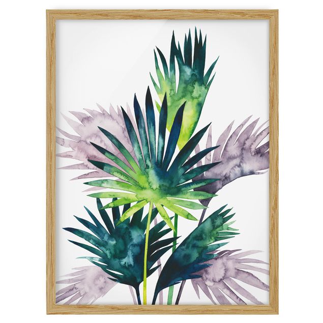 Tableau fleurs Feuillage exotique - Fan Palm