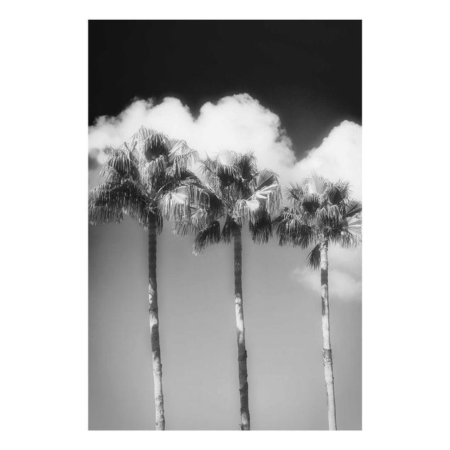 Tableau moderne Palmiers Contre Le Ciel Noir Et Blanc
