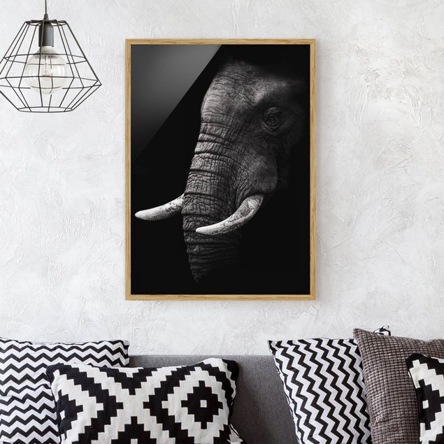 Déco mur cuisine Portrait d'éléphant sombre