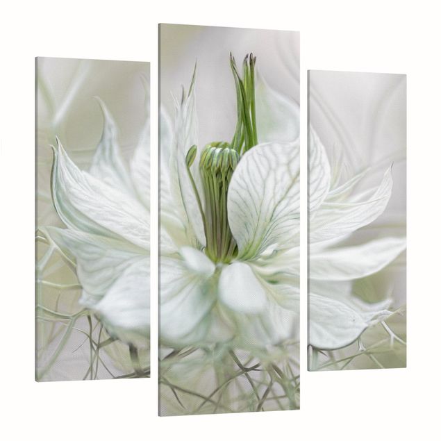 Tableau floral White Nigella