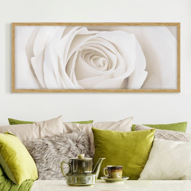 Affiches encadrées fleurs Jolie Rose Blanche