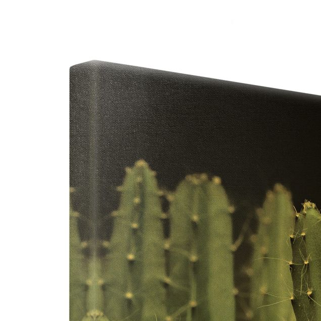 Tableau sur toile or - Desert Cactus At Night