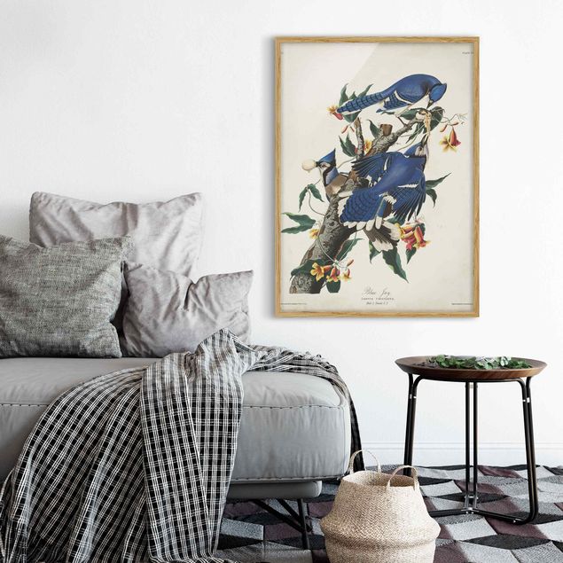 tableaux floraux Tableau Vintage Blue Jays