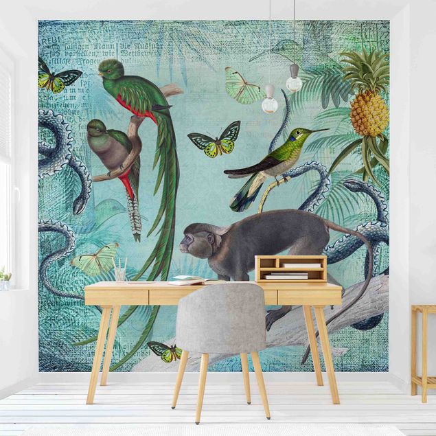 Tapisserie oiseaux Collage de style colonial - Singes et oiseaux de paradis