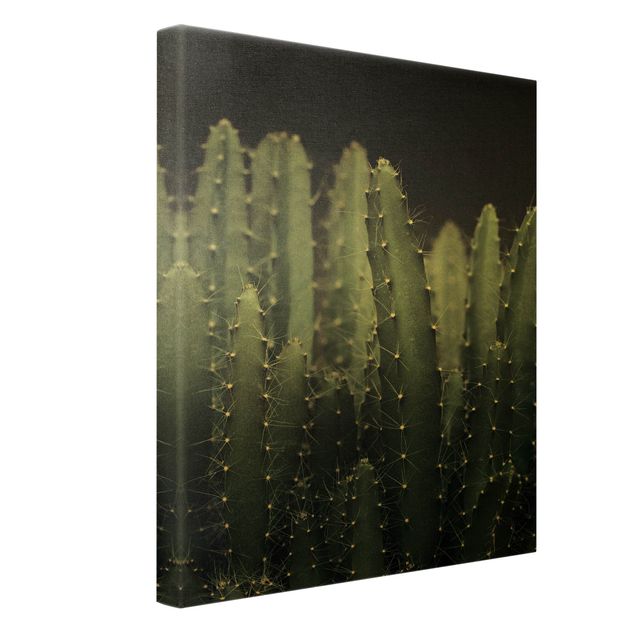 Impressions sur toile Cactus du désert la nuit