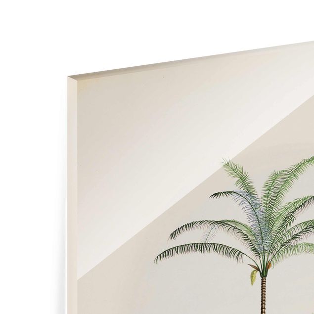 Tableaux de Andrea Haase Illustration de Zèbre Devant Des Palmiers