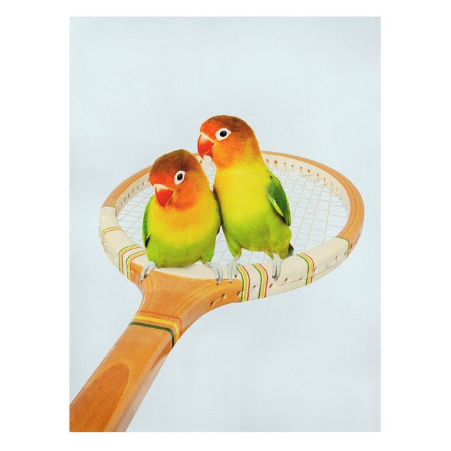 Tableaux animaux Tennis avec Oiseaux