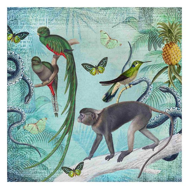 Tapisserie animaux Collage de style colonial - Singes et oiseaux de paradis