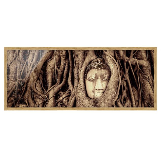 Affiches encadrées fleurs Bouddha d'Ayutthaya doublé de racines d'arbre en brun