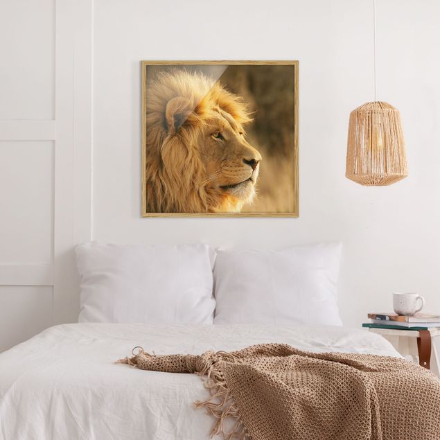 Tableaux encadrés animaux King Lion