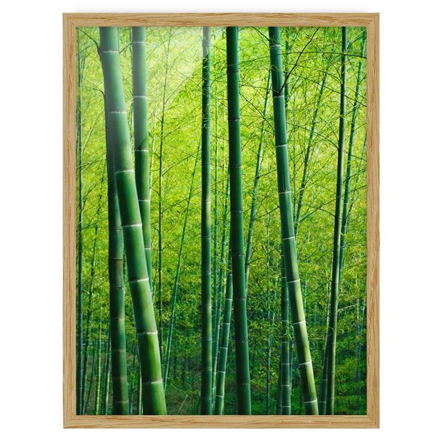 Tableaux bambou Forêt de bambous