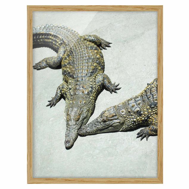 Tableau animaux Romance de crocodile