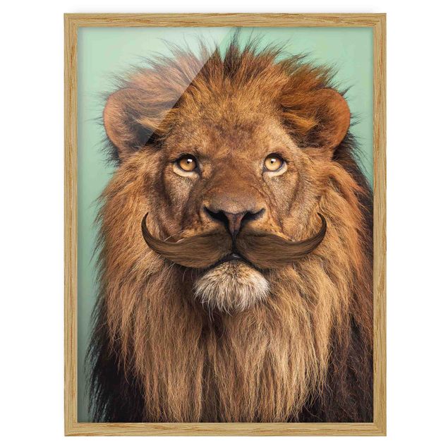 Tableaux encadrés animaux Lion avec Barbe
