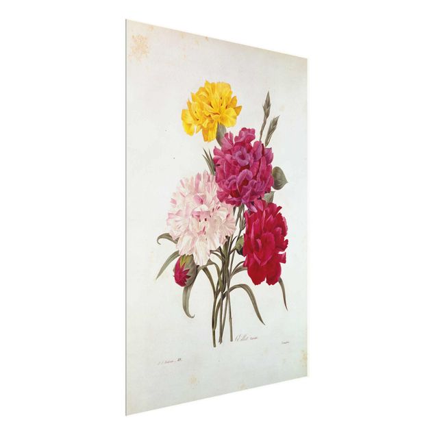 Tableaux en verre fleurs Pierre Joseph Redoute - Clous de Girofle
