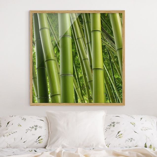 Tableaux paysage Bamboo Trees