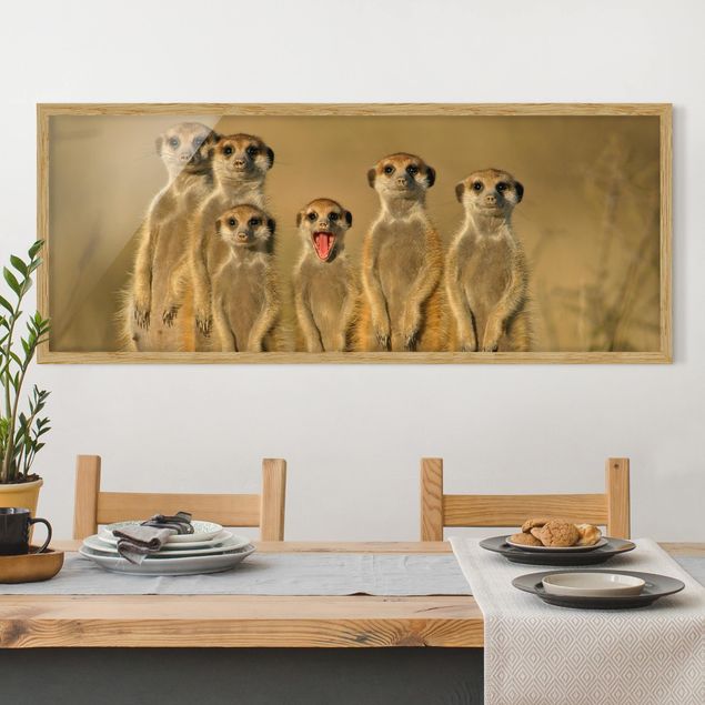 Tableaux famille Famille de suricates