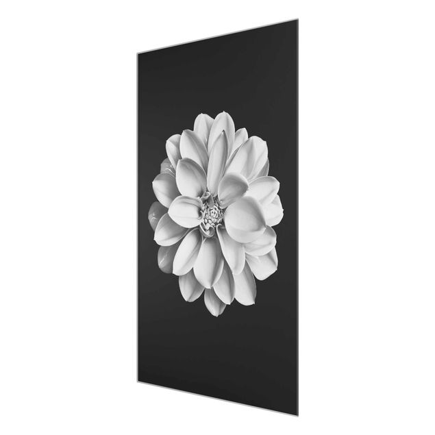 Tableau décoration Dahlia Noir et Blanc