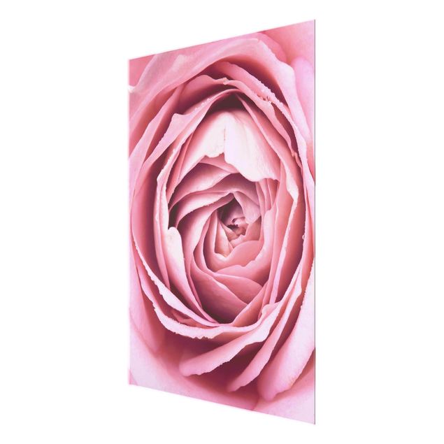 tableaux floraux Fleur de Rose rose