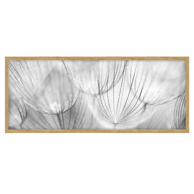 Tableau moderne Pissenlits en macrophotographie en noir et blanc