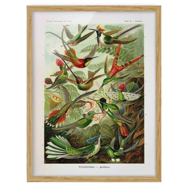 Tableau floral Vintage Board Hummingbirds