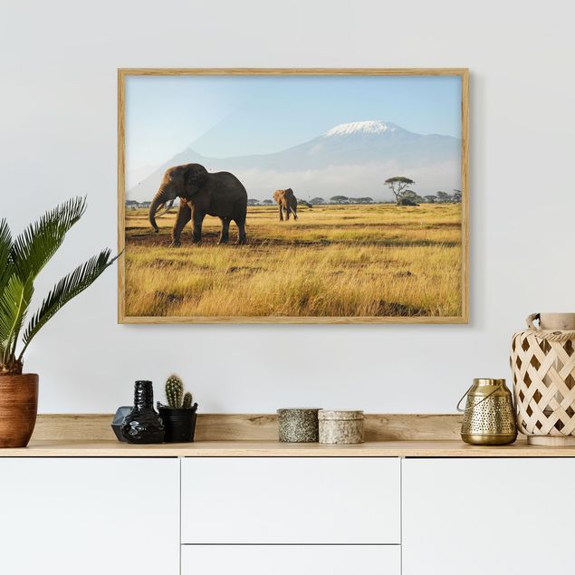 Tableau paysages Elephants In Front Of The Kilimanjaro In Kenya