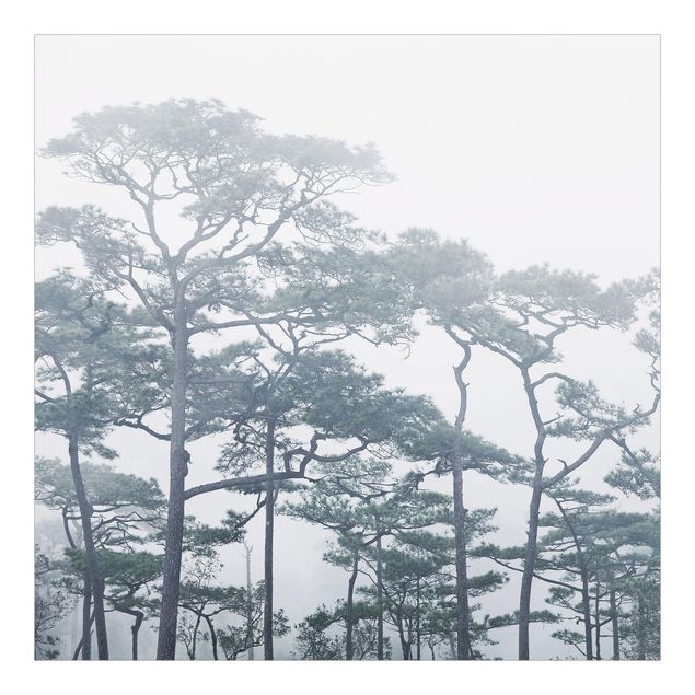 tapisserie panoramique Cimes d'arbres dans le brouillard