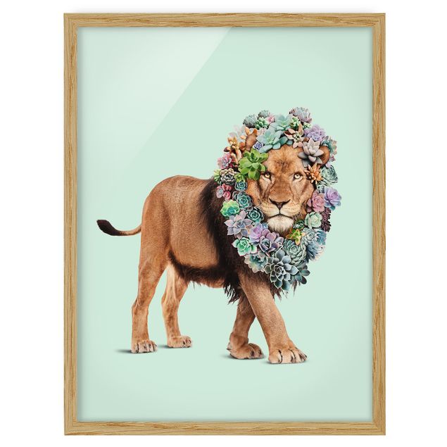 Affiches encadrées fleurs Lion avec Succulents