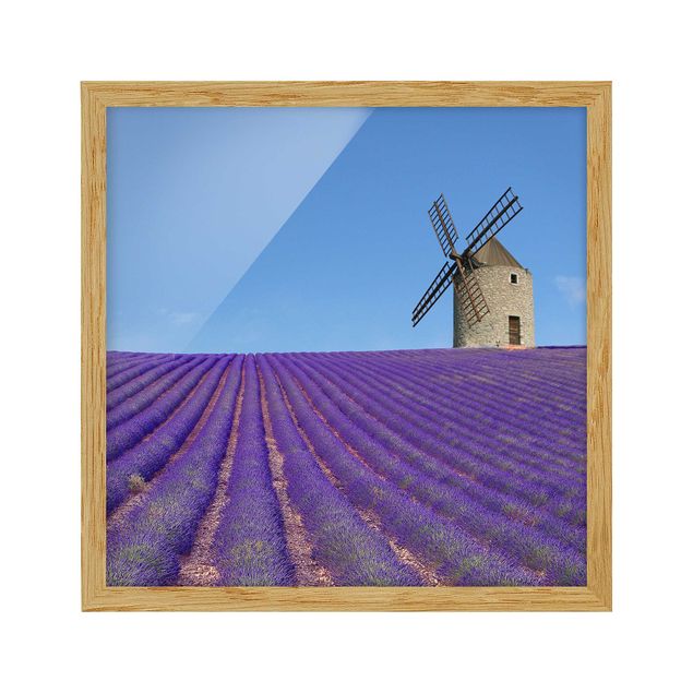 Tableaux encadrés paysage Senteur de lavande en Provence