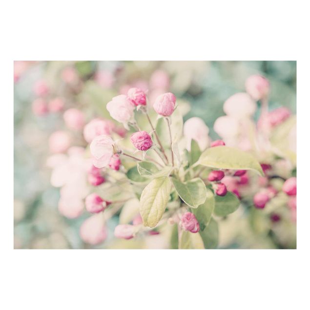 Tableaux rose Apple Blossom Bokeh Light Pink