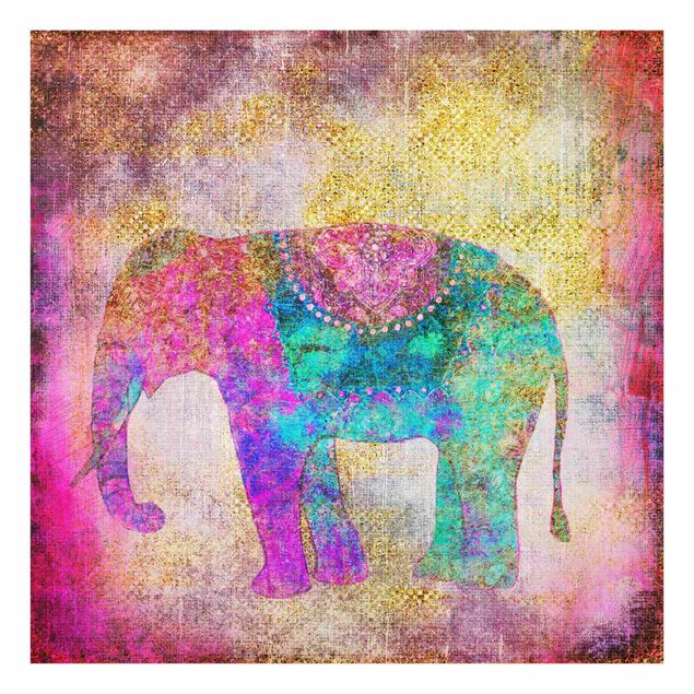 Cadre animaux Collage coloré - Éléphant indien