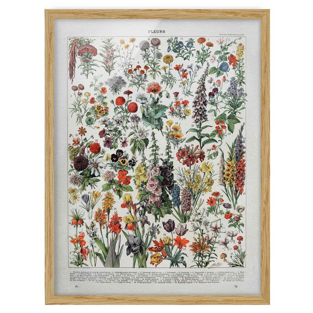 Tableau floral Tableau Vintage des Fleurs IV