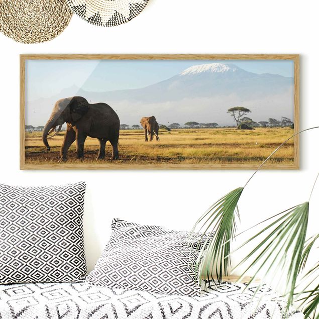 Tableau paysages Eléphants devant le Kilimandjaro au Kenya