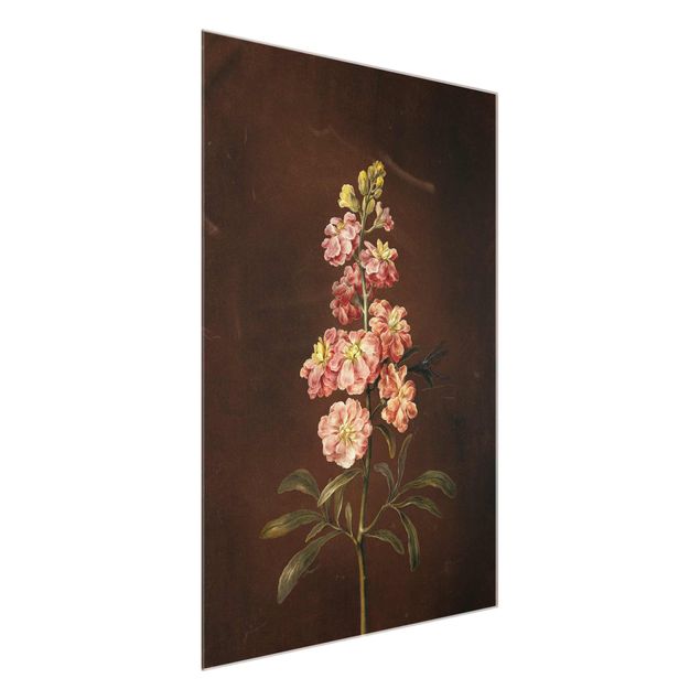 Tableaux en verre fleurs Barbara Regina Dietzsch - Une giroflée rose pâle