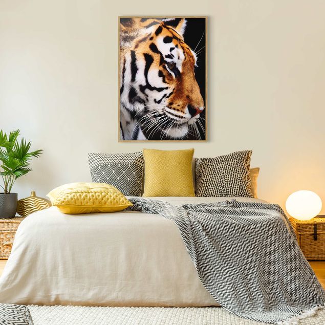 Tableaux encadrés animaux Beauté du tigre
