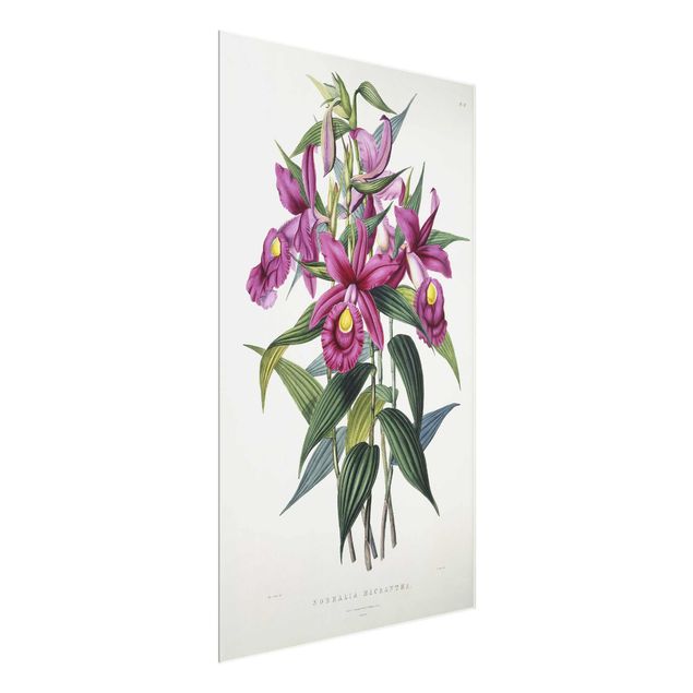 Tableaux Artistiques Maxim Gauci - Orchidée I