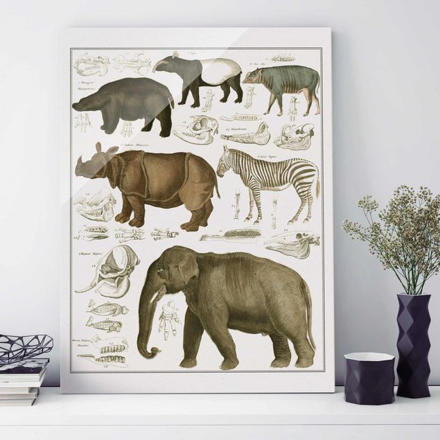 Déco mur cuisine Tableau Botanique éléphant, zèbre et rhino