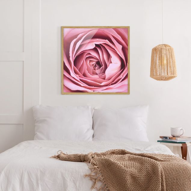 Tableau moderne Fleur de Rose rose