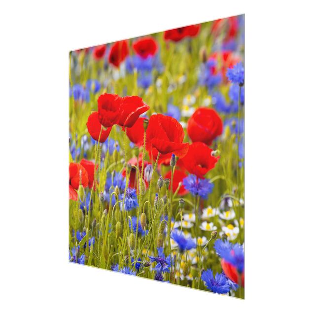 tableaux floraux Prairie d'été avec coquelicots et bleuets