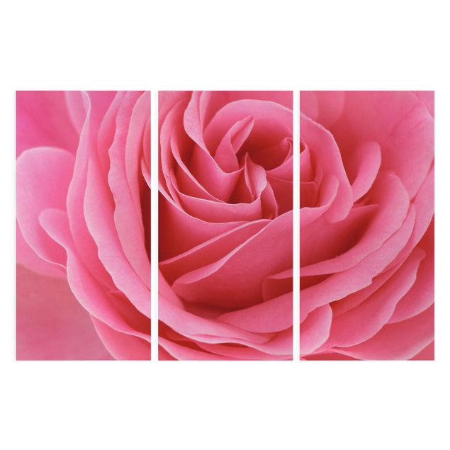 Tableau romantique amour Lustful Pink Rose