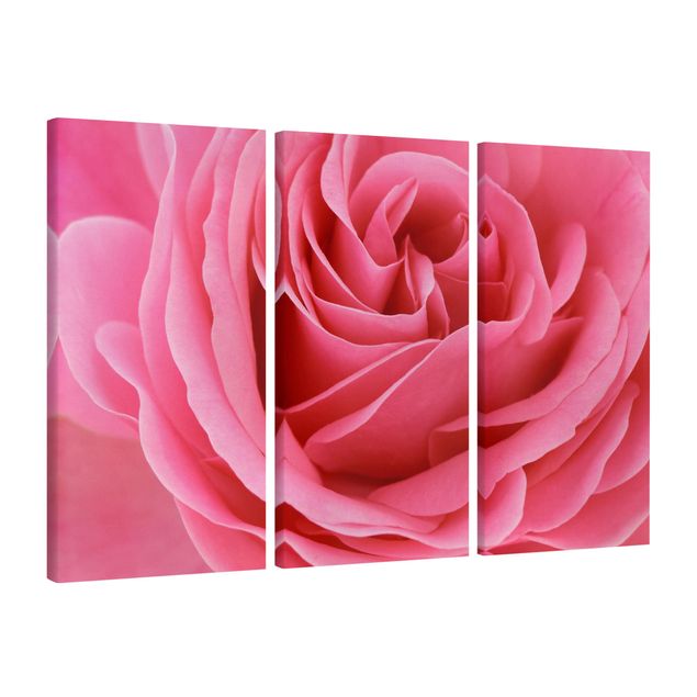 tableaux floraux Lustful Pink Rose