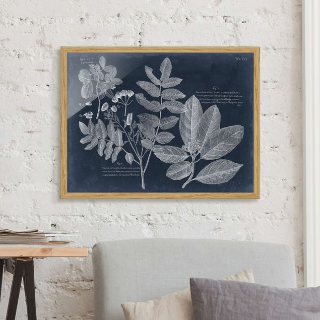 Affiches encadrées fleurs Feuillage bleu foncé - Avocado