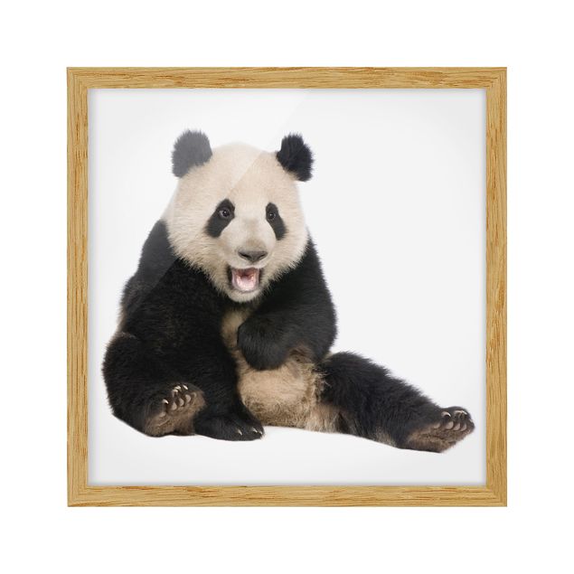 Tableaux modernes Laughing Panda