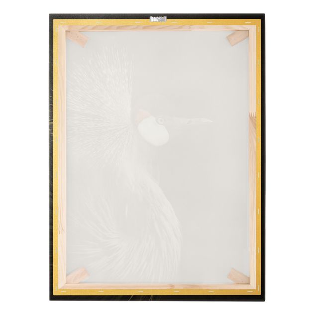 Tableau sur toile or - Black Crowned Crane
