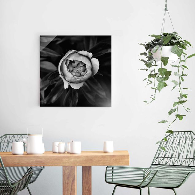 Tableaux en verre roses Pivoine et feuilles noir et blanc
