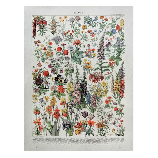 Tableau floral mural Tableau Vintage des Fleurs IV