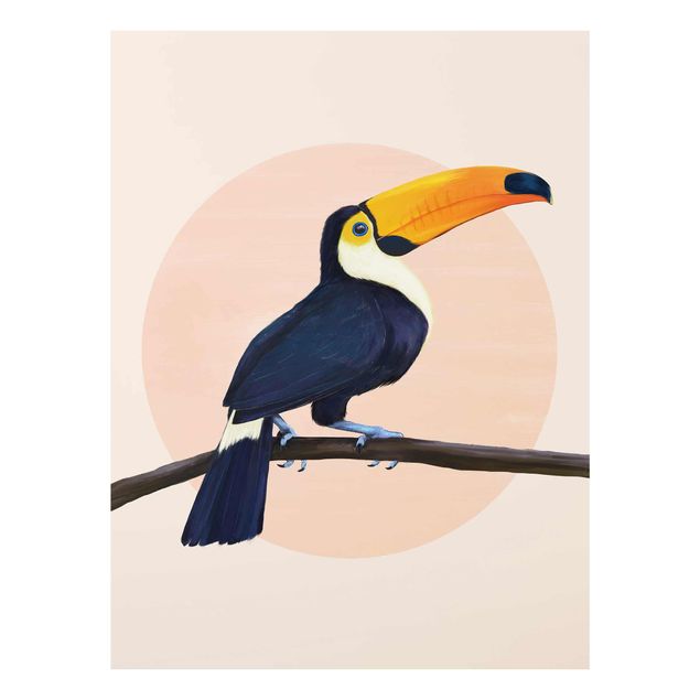 Tableaux reproduction Illustration Oiseau Toucan Peinture Pastel