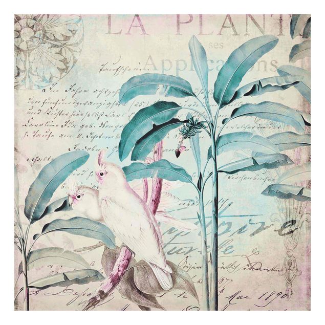 Tableau turquoise Colonial Style Collage - Cacatoès et Palmiers
