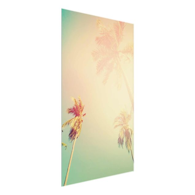 Tableaux en verre fleurs Plantes Tropicales Palmiers au Coucher du Soleil IIl
